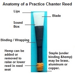 Practice Chanter Reed